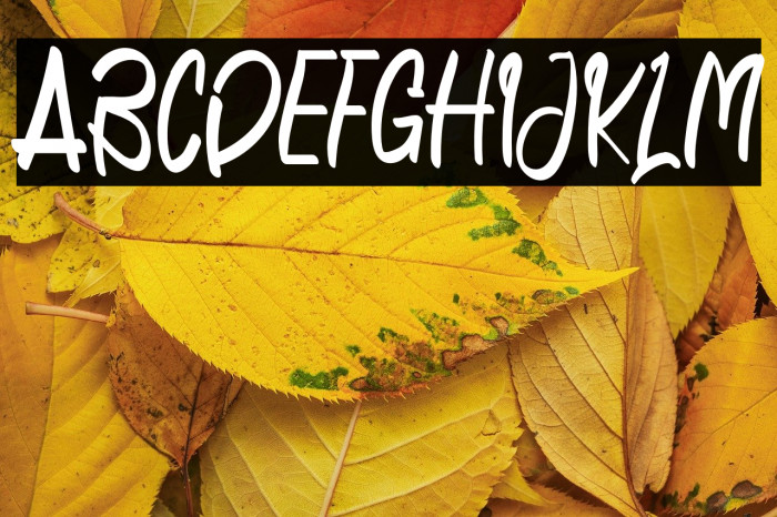 NovemberIsCheerfulRegular Example 1