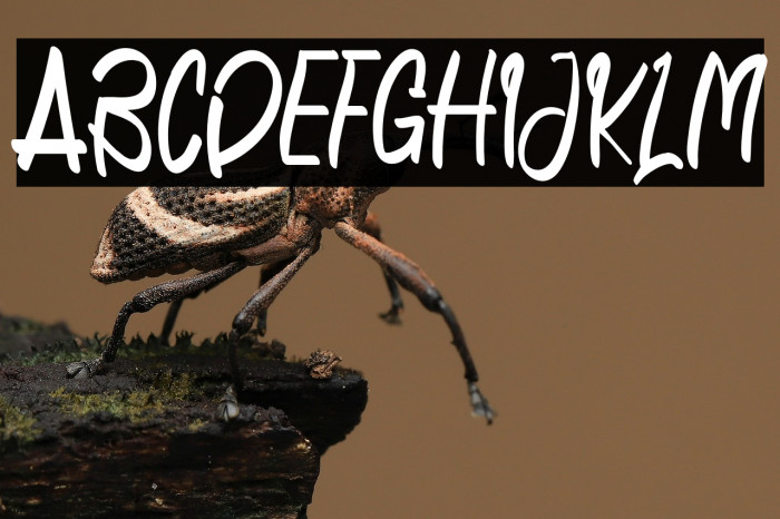 NovemberIsCheerfulRegular Example 2