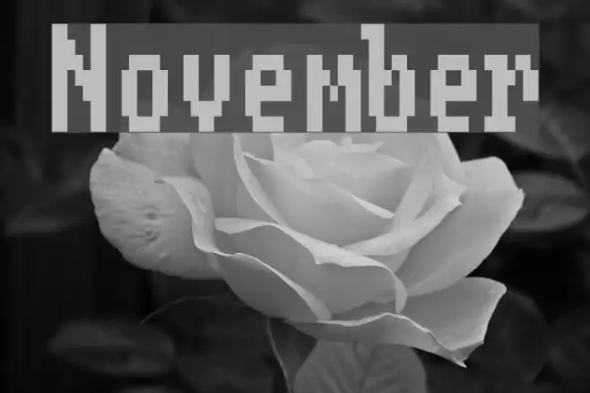 November Fonte examples