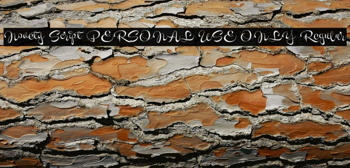 Novety Script PERSONAL USE ONLY Regular Example 1