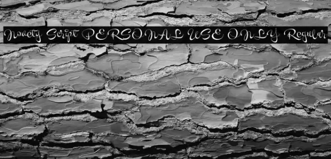 Novety Script PERSONAL USE ONLY Regular Caratteri examples
