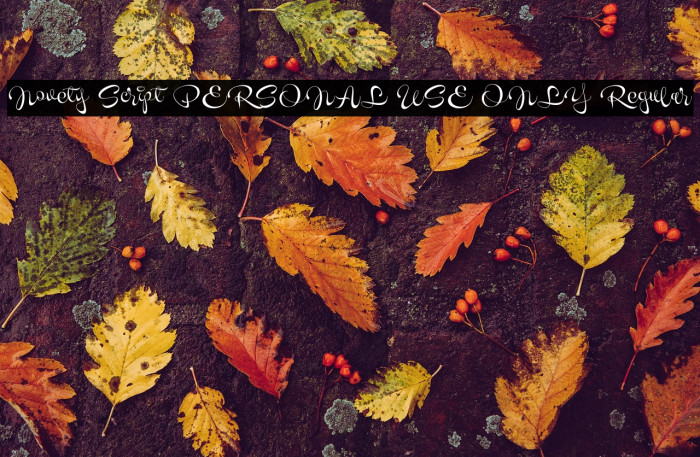 Novety Script PERSONAL USE ONLY Regular Example 2