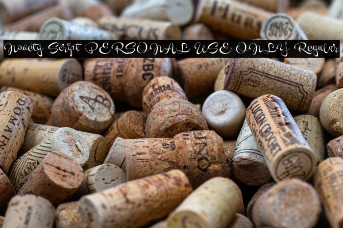 Novety Script PERSONAL USE ONLY Regular Example 3