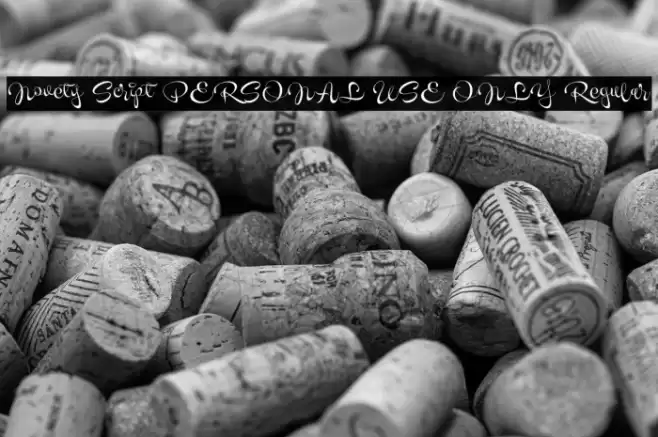 Novety Script PERSONAL USE ONLY Regular Caratteri examples