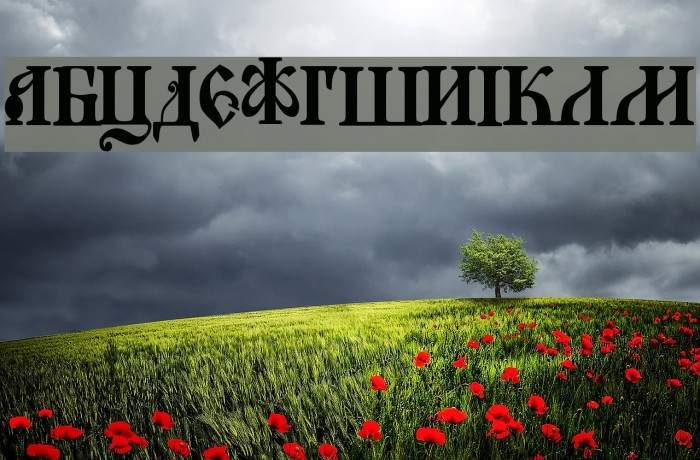 Novgorod Plain Example 3