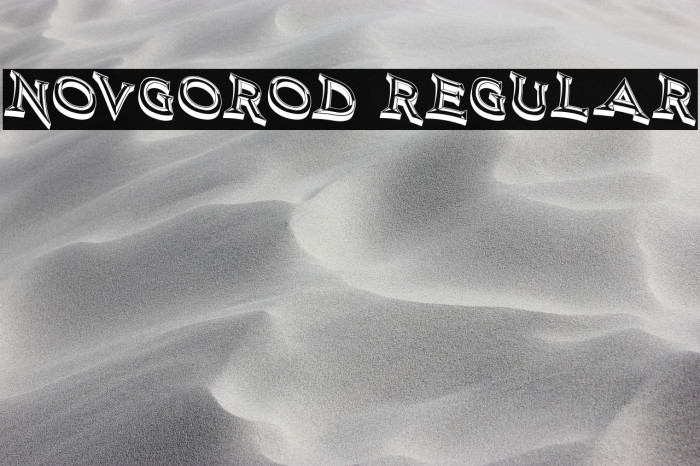 Novgorod Regular Example 2