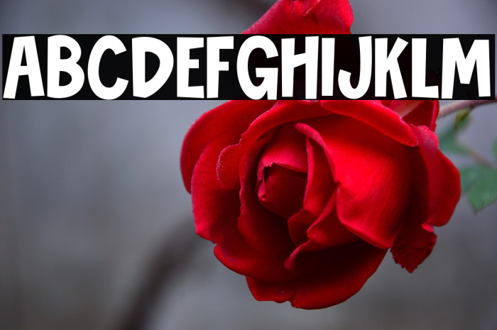 Novibes Display Example 2