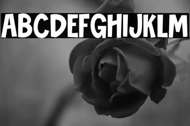 Novibes Display Font examples