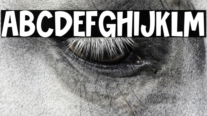 Novibes Display Example 3