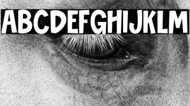 Novibes Display Font examples