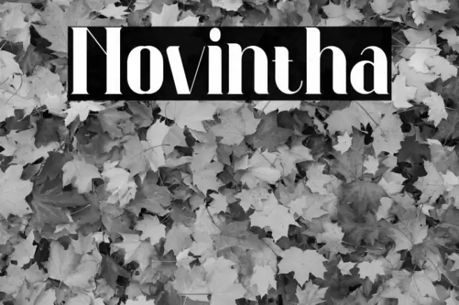 Novintha Font examples