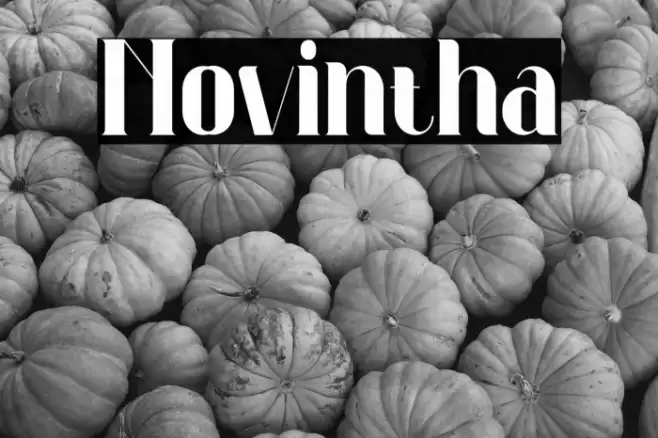 Novintha Font examples