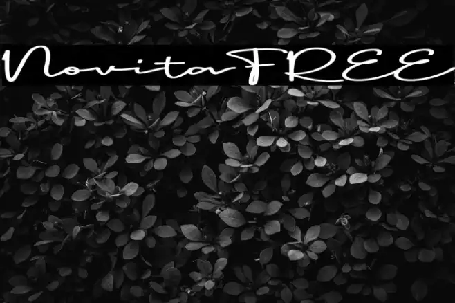 Novita FREE Example 2