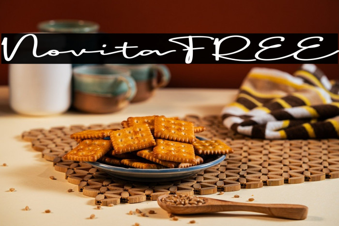 Novita FREE Example 3