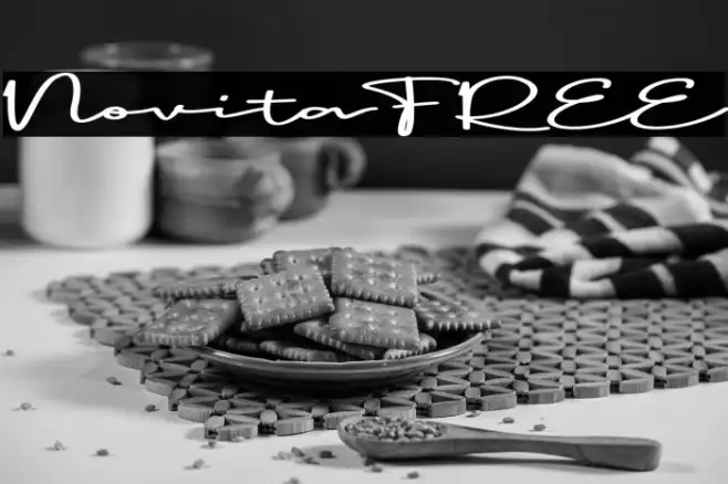 Novita FREE Example 3