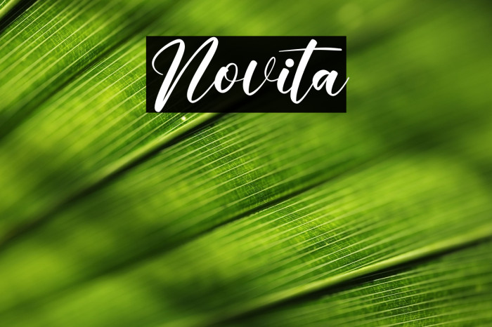Novita Example 1