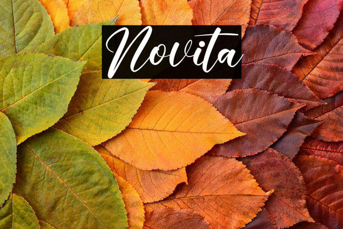 Novita Example 2