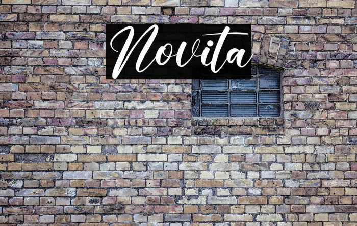 Novita Example 3