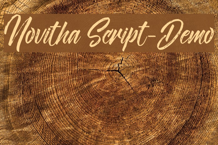 Novitha Script-Demo Font examples