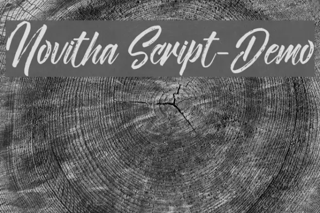 Novitha Script-Demo Example 1