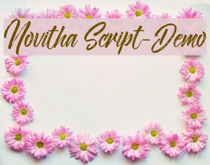 Novitha Script-Demo Font examples