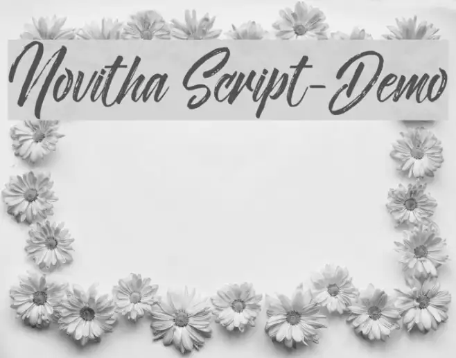 Novitha Script-Demo Example 2
