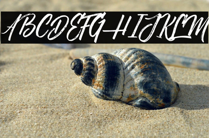 NovithaScript-Demo Example 2