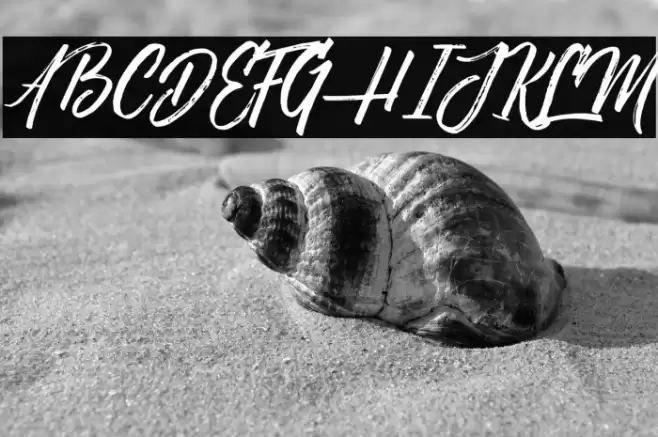 NovithaScript-Demo Font examples