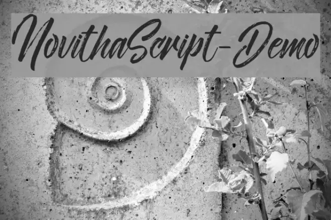 NovithaScript-Demo Font examples