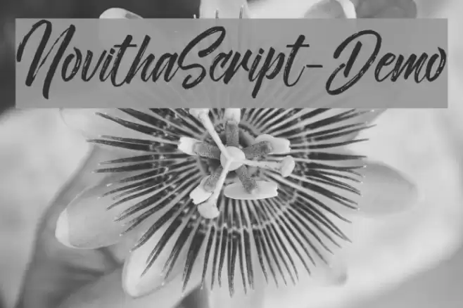 NovithaScript-Demo Font examples