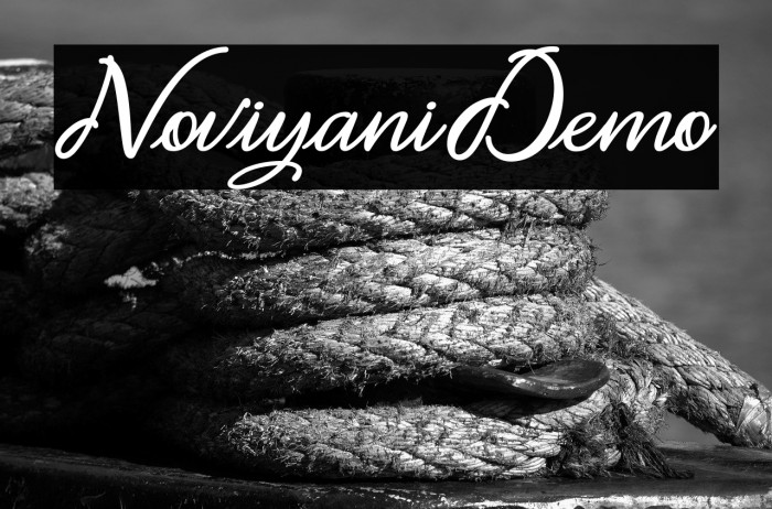 Noviyani_Demo Example 1