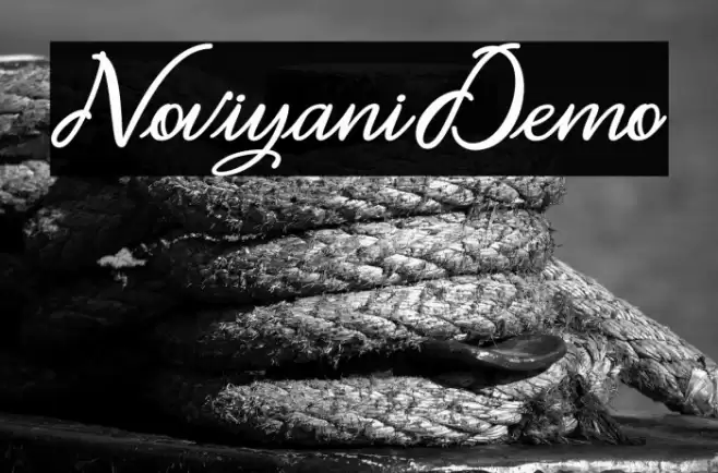 Noviyani_Demo Font examples