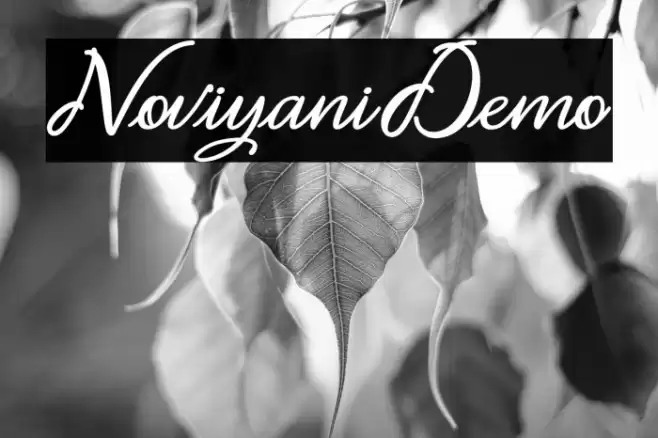 Noviyani_Demo Font examples