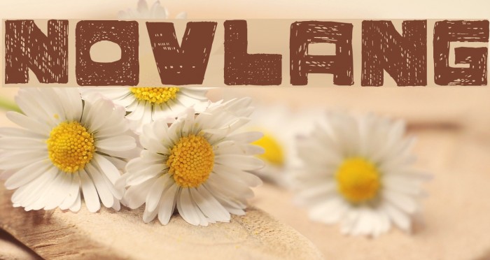 Novlang Font examples