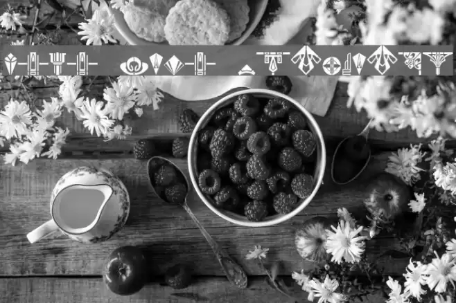 Novo Deco Ornaments Font examples