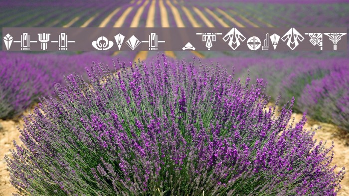 Novo Deco Ornaments Example 2