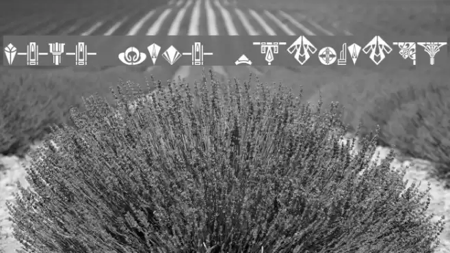 Novo Deco Ornaments Font examples