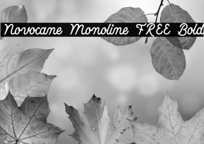 Novocane Monoline FREE Bold Font examples