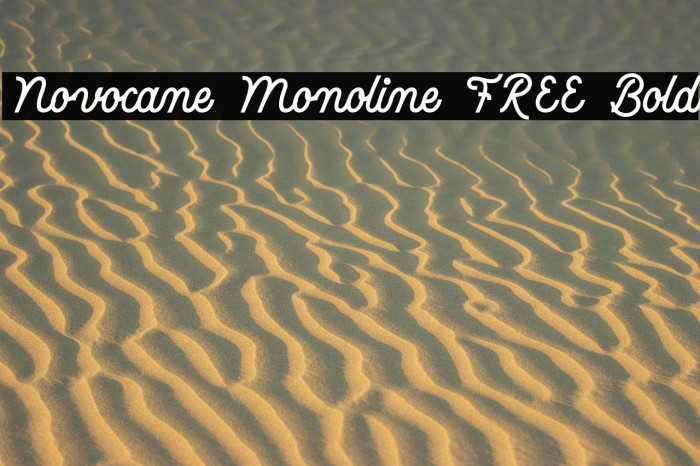 Novocane Monoline FREE Bold Example 3