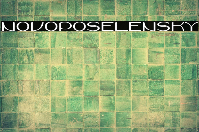 Novoposelensky Example 3