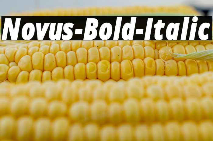 Novus-Bold-Italic Example 1