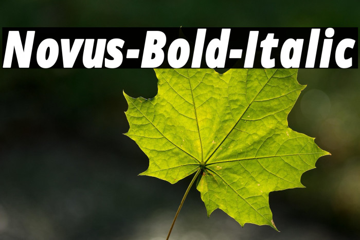 Novus-Bold-Italic Example 3