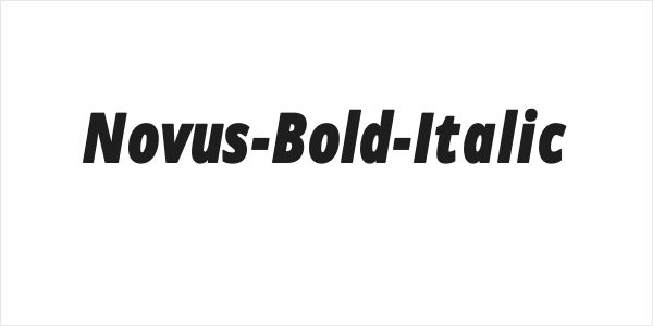 Novus-Bold-Italic Logo