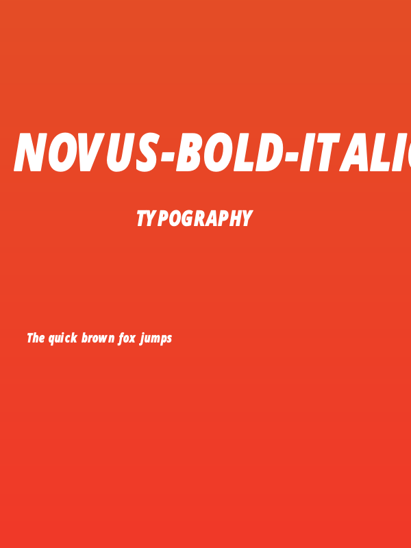 Novus-Bold-Italic Poster