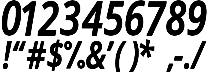 Novus-Italic Font OTHER CHARS