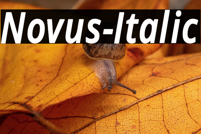 Novus-Italic Example 2