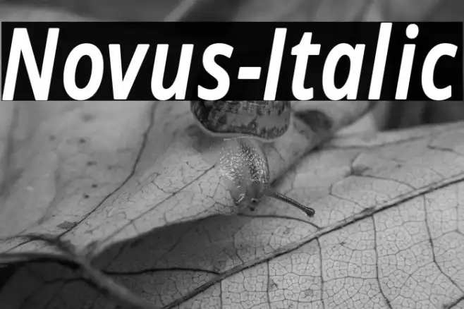 Novus-Italic Example 2