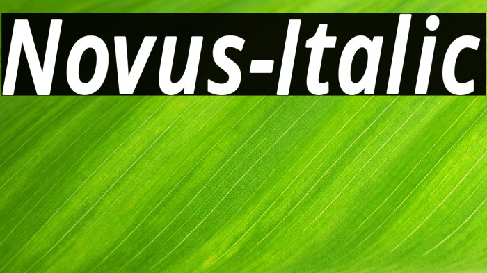 Novus-Italic Example 3