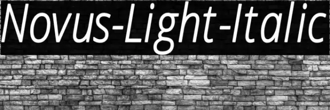 Novus-Light-Italic Example 2