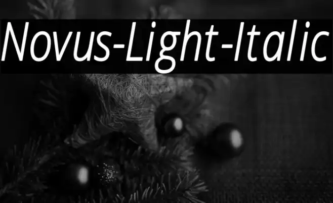 Novus-Light-Italic Example 3